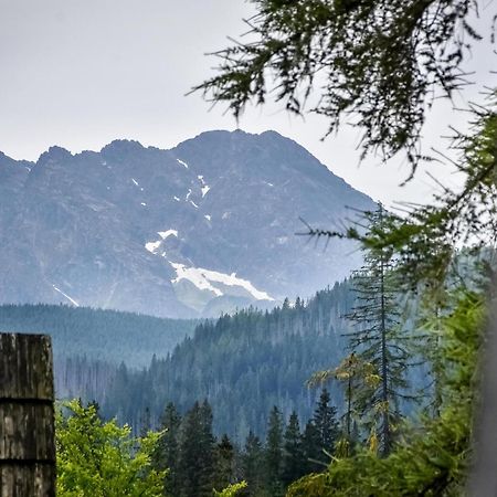 Za Gorami Za Lasami Zakopane Dış mekan fotoğraf