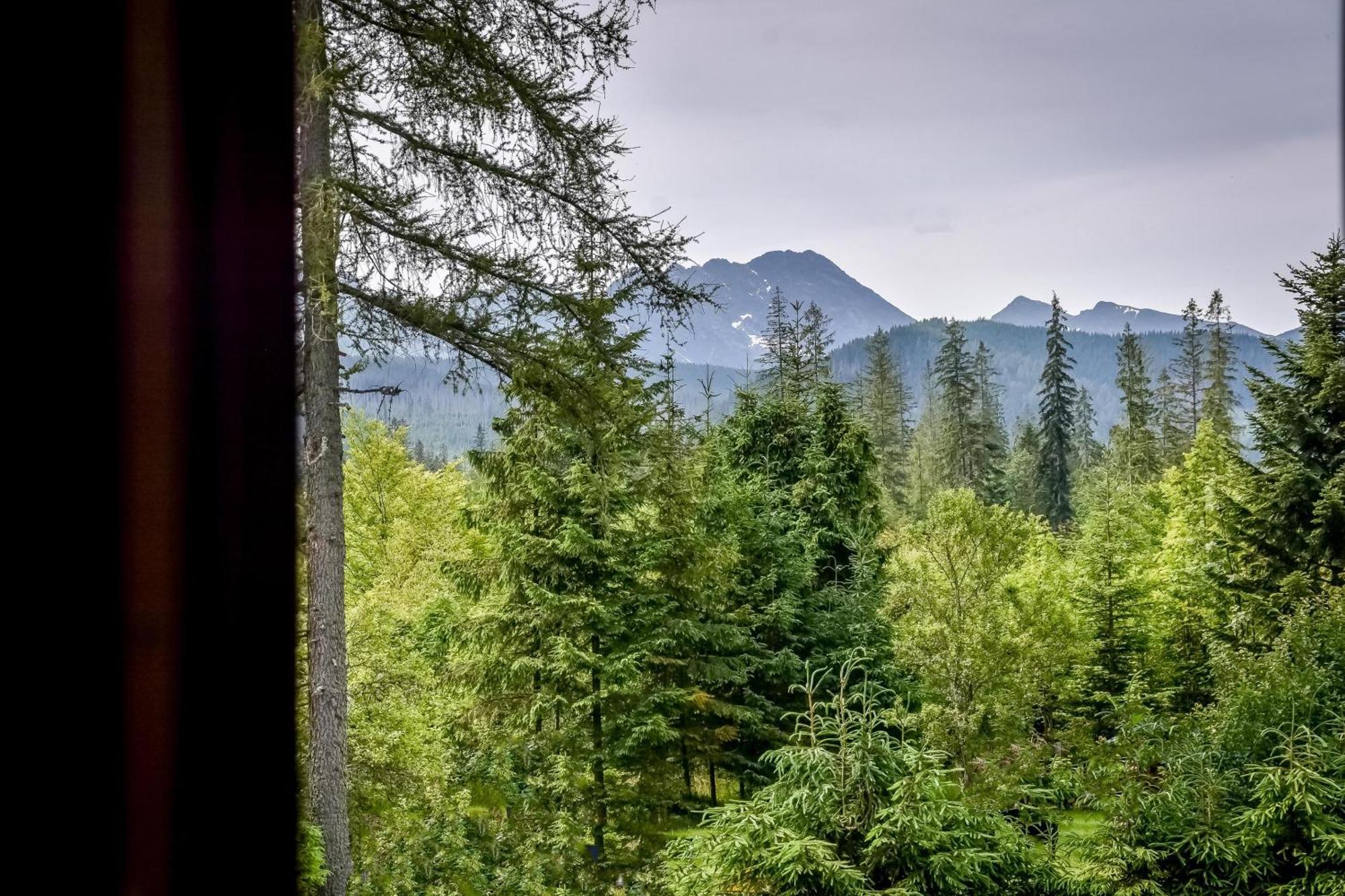 Za Gorami Za Lasami Zakopane Dış mekan fotoğraf